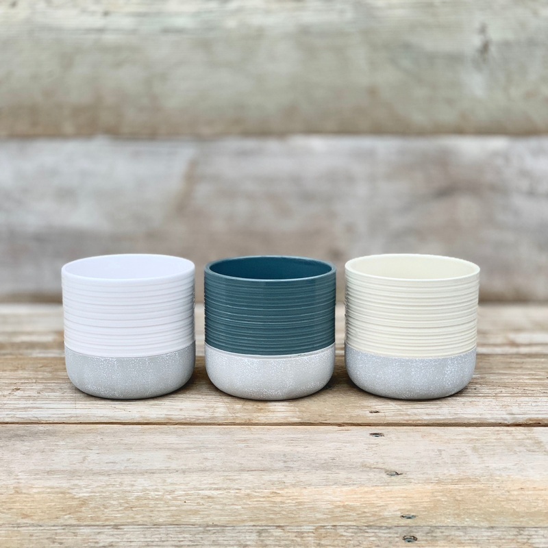 Alieda Two Tone Pot|4″