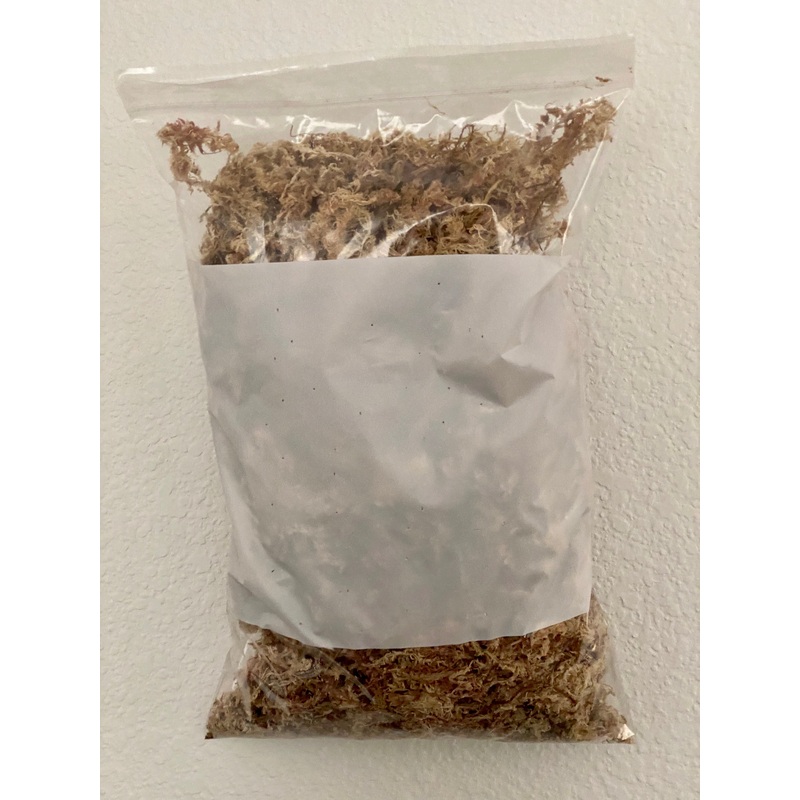 Peruvian Sphagnum moss (Small Bag)
