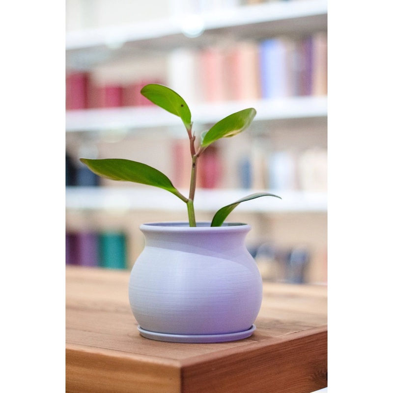 Planter Dory|4″