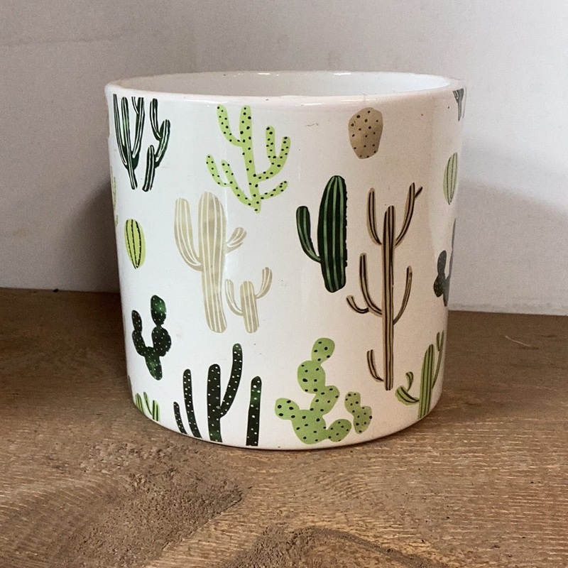 Tropical Wrap Pot|4″