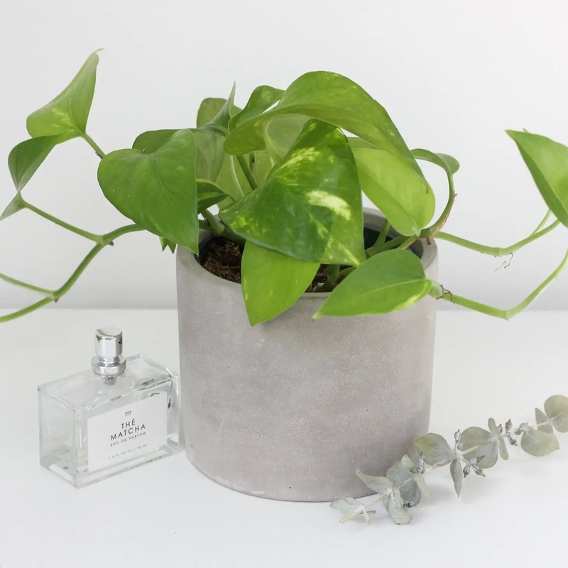 Concrete Cement Cylinder Planter Pot