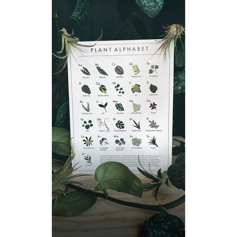 Plant Alphabet Print