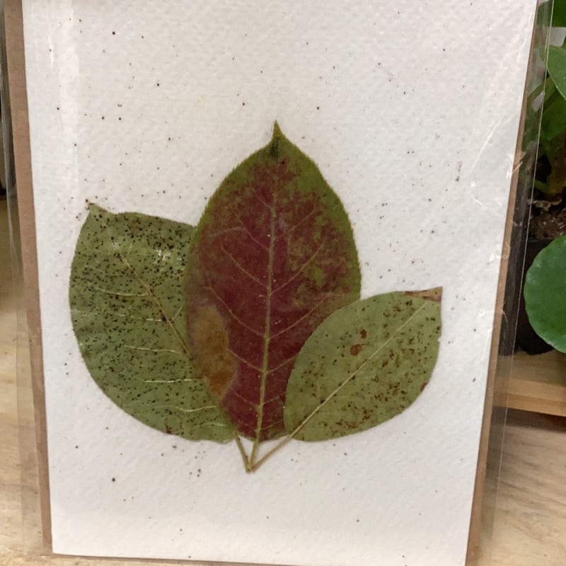 Pressed Cards