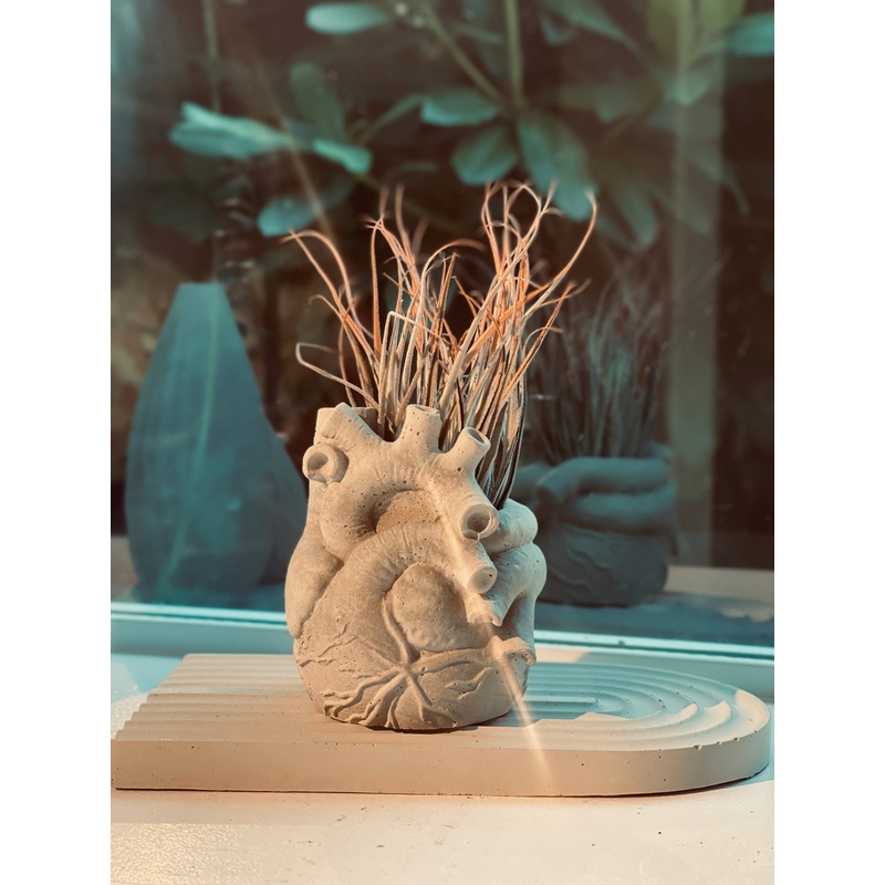 Anatomical Heart Planter