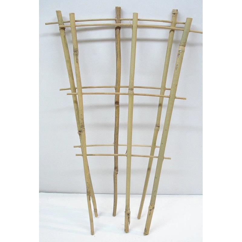 Bamboo Trellis|80cm|120cm