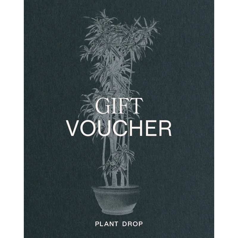 Gift Voucher|50|100|250|500|750|1000