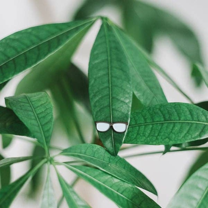 Ruth –  Plant Magnet