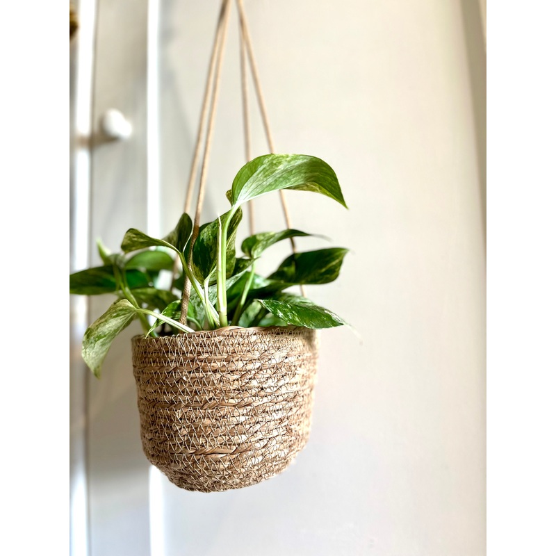 Seagrass Laos Straw Hanging basket