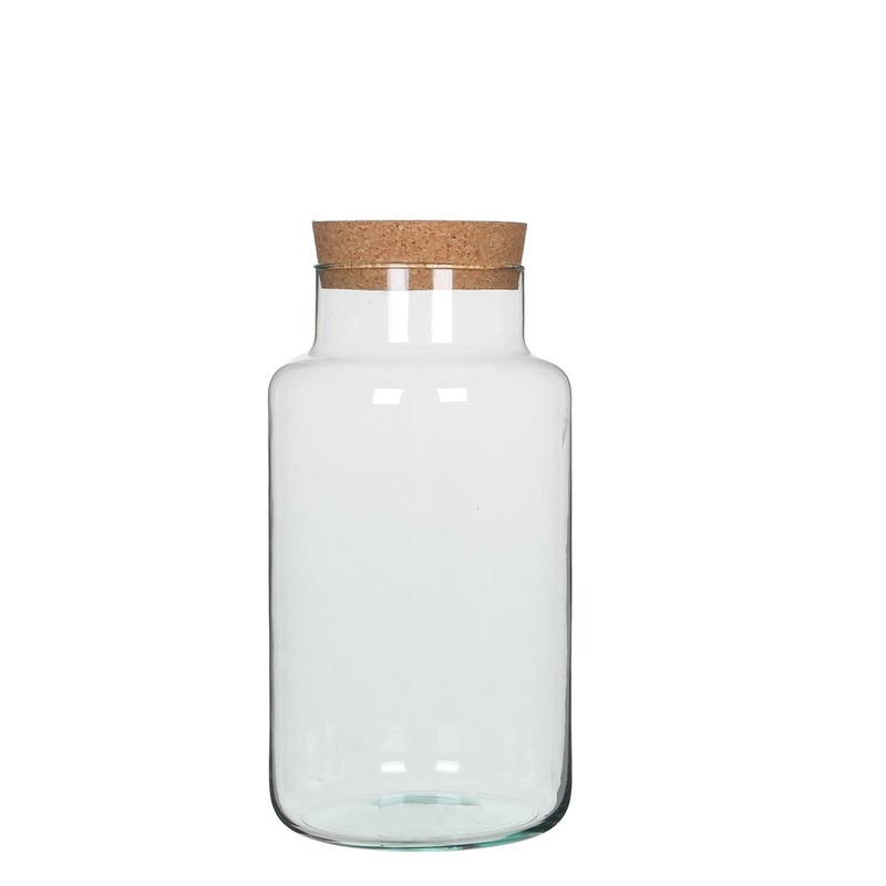Glass Terrarium Chela|H36x D19cm|H19 X D19cm