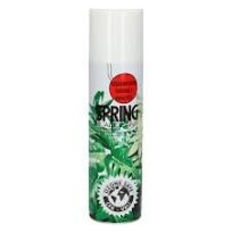 Spring Leaf Shine 250ml