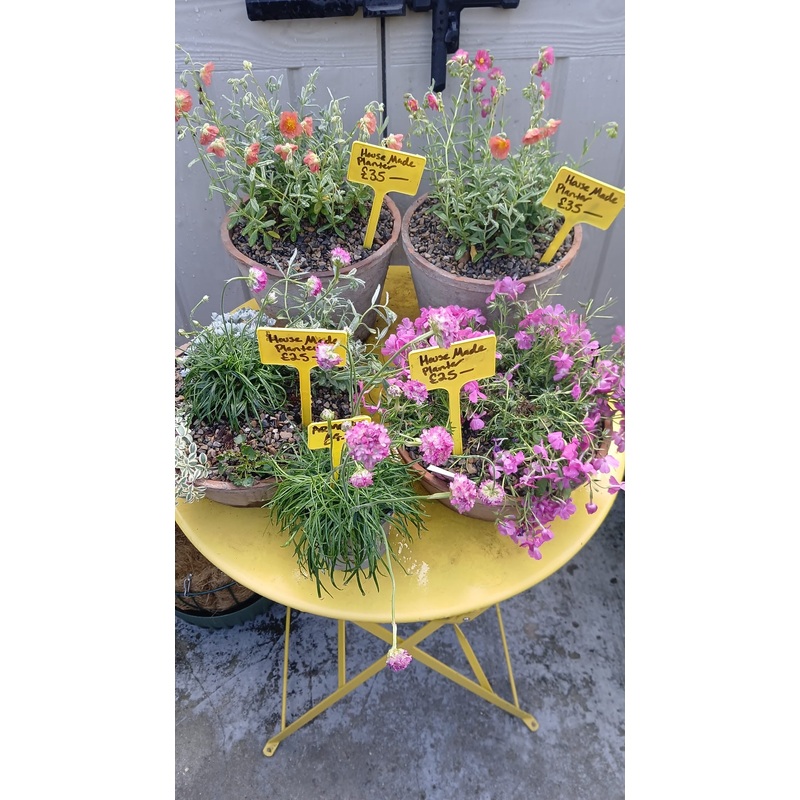 House made planter|Bowl|Pot