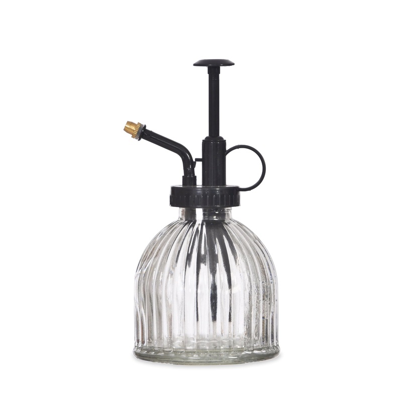 Clear Glass Plant Spray Mister