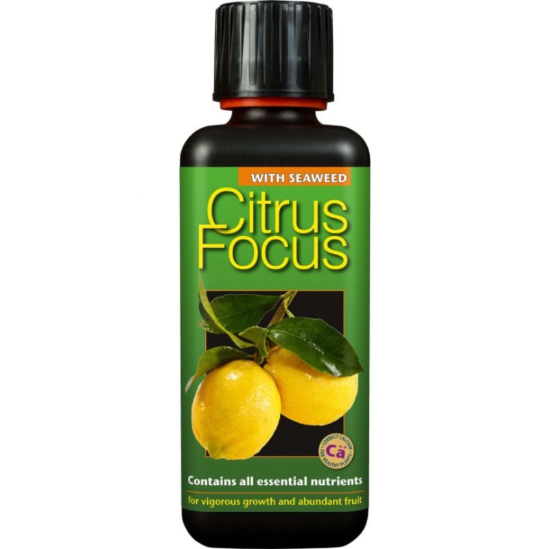 Citrus Feed 300ml