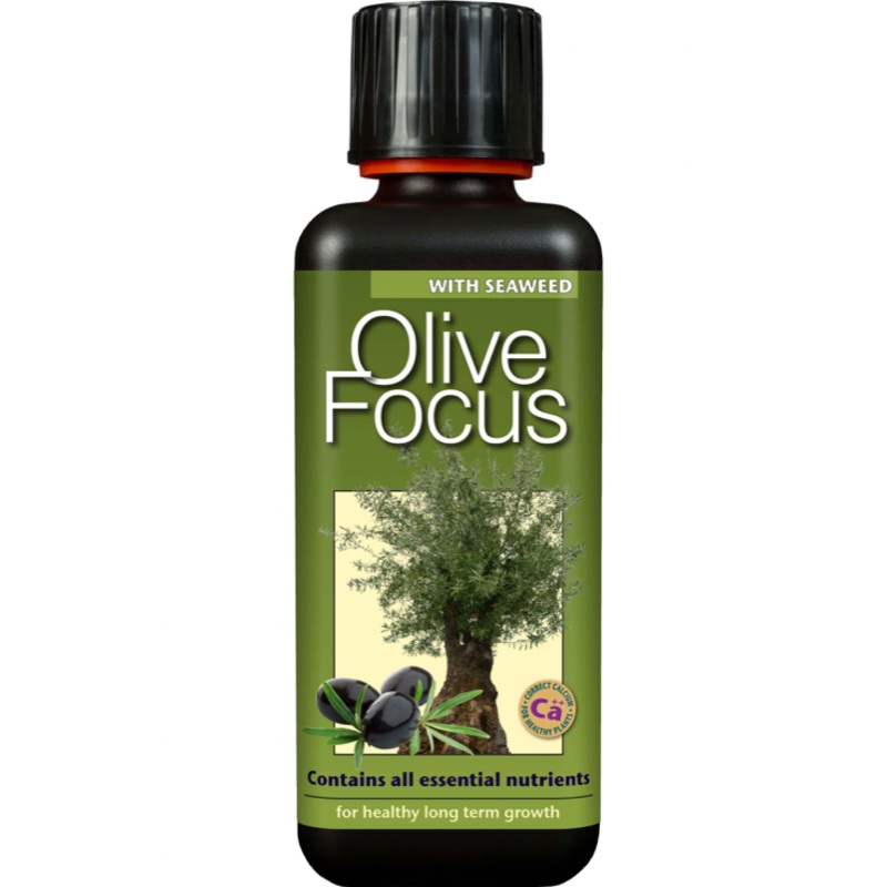 Olive Feed 300ml