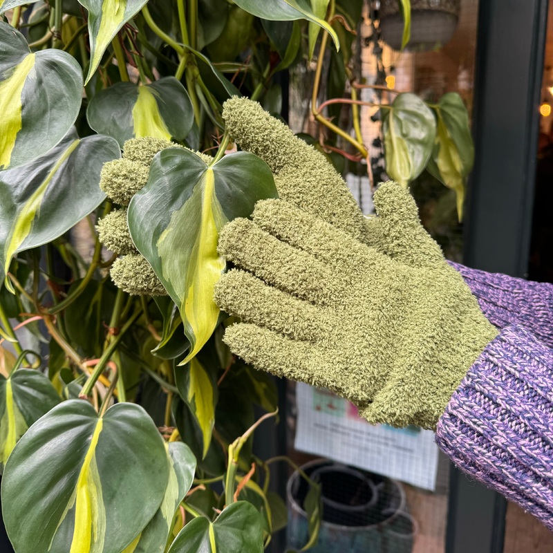 Plant Dust Gloves