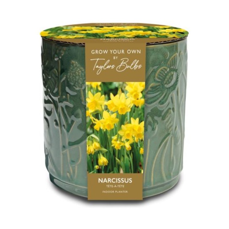 Taylors Embossed Floral Ceramic Planter