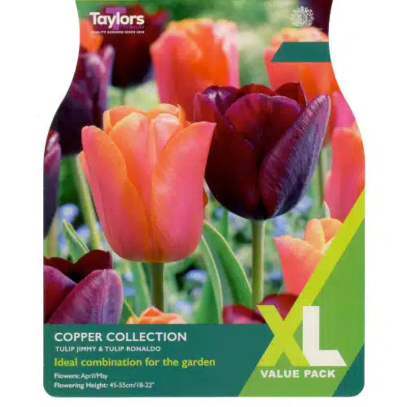 Tulip – Tulip Copper Collection