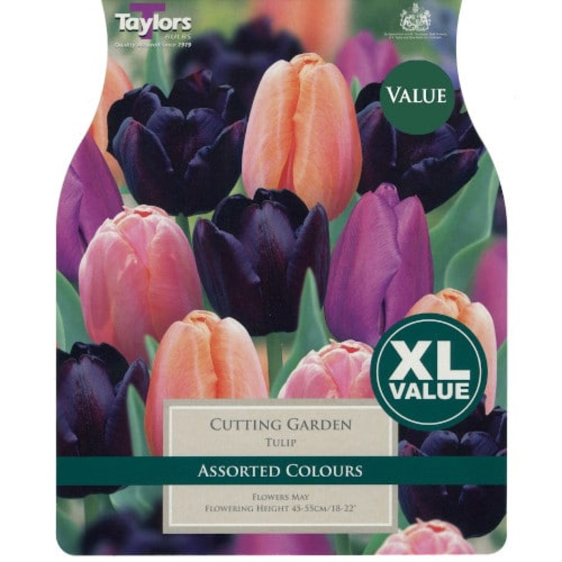 Tulip – Tulip Cutting Garden Bulbs