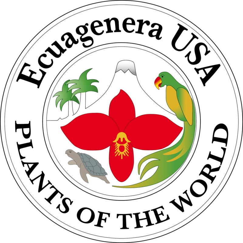 Stanmanneta Ecuagenera