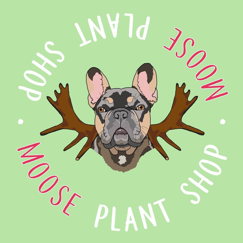Gift Card (Digital)|10|20|30|40|50|60|70|80|90|100