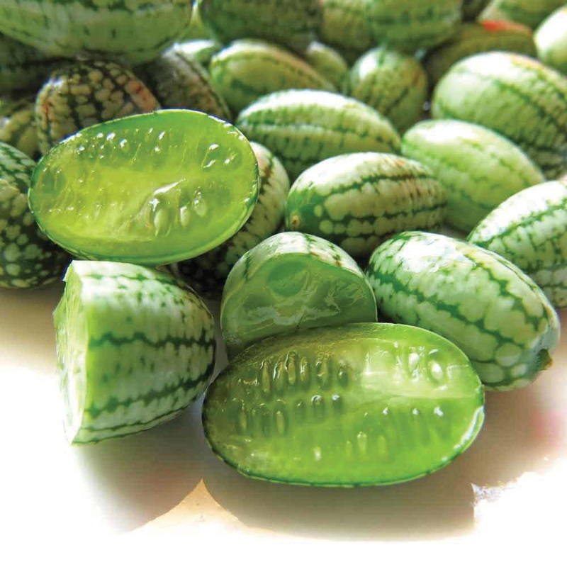 Cucamelon – Mexican Sour Gherkin