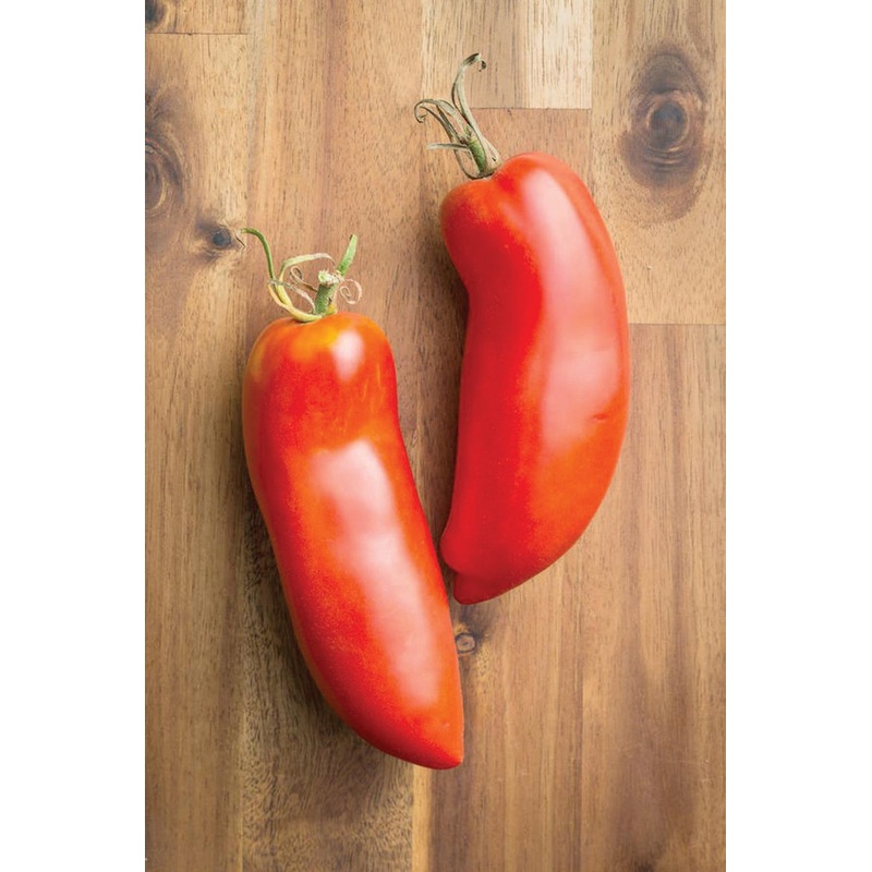 Federle Tomato