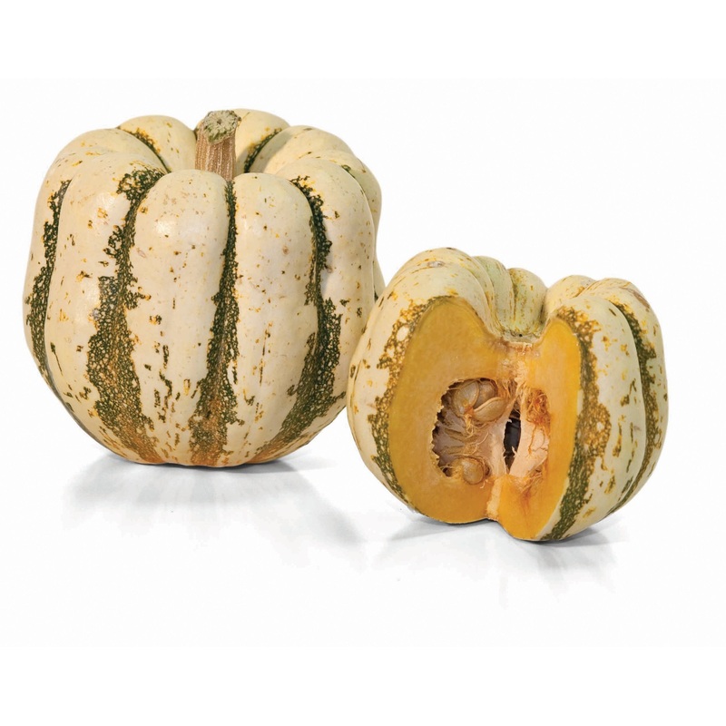 Sweet Dumpling Squash