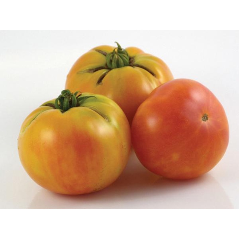 Wherokowhai Tomato (Dwarf Bush)