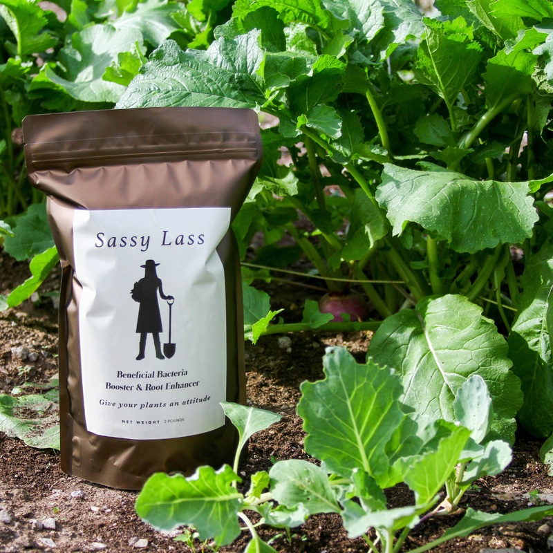 Sassy Lass – Beneficial Soil Microbe Booster – 2lb