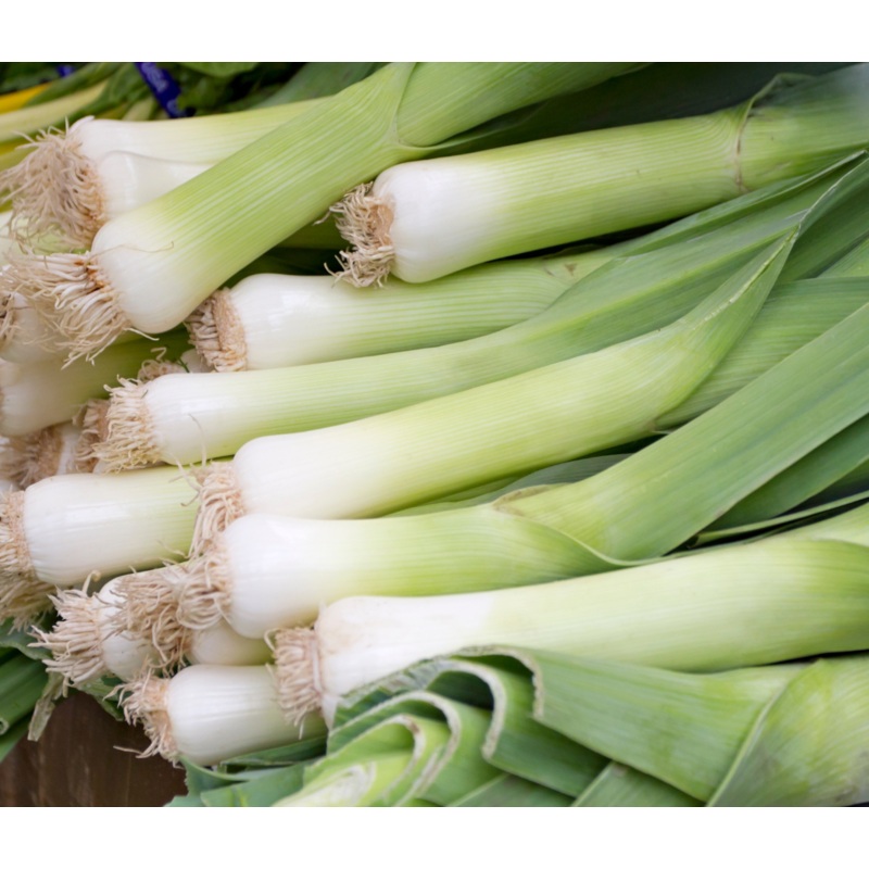 Carentan Leek