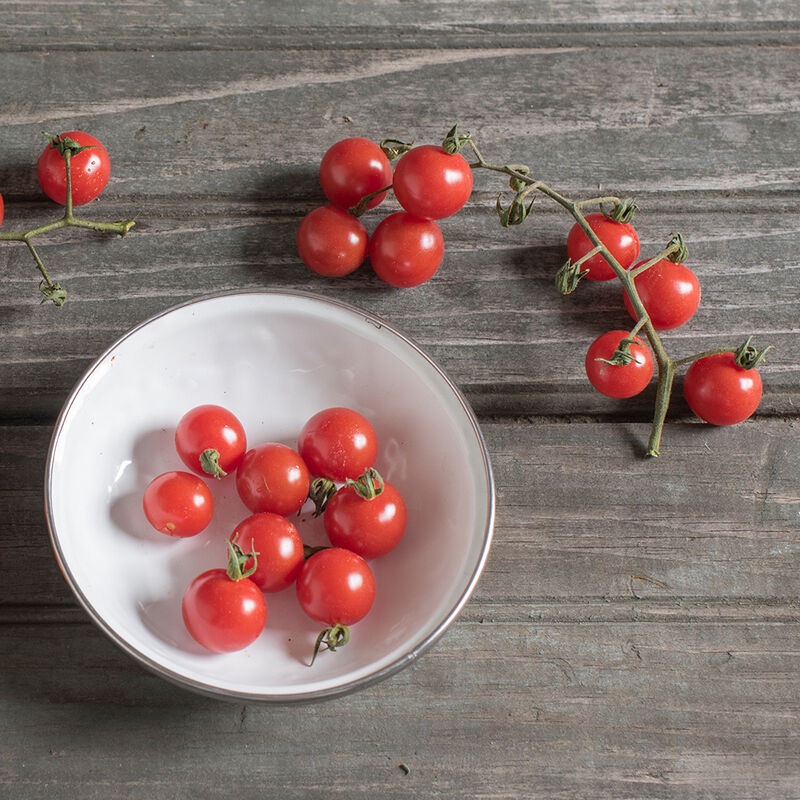 Matt’s Wild Cherry Tomato