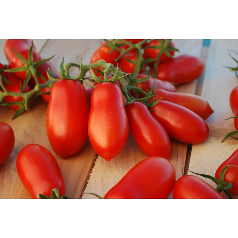 Ten Fingers of Naples Tomato
