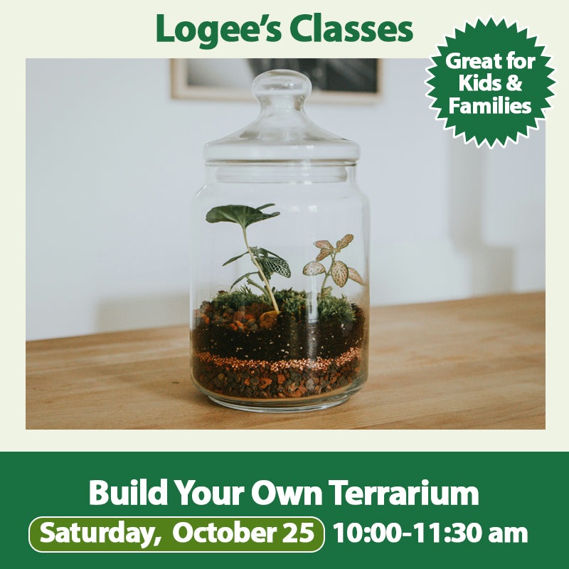 Build Your Own Terrarium – 10/25/25