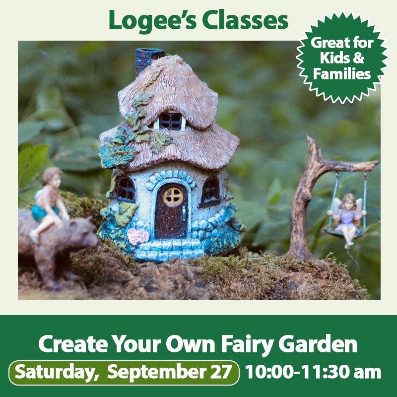 Create Your Own Fairy Garden – 9/27/25