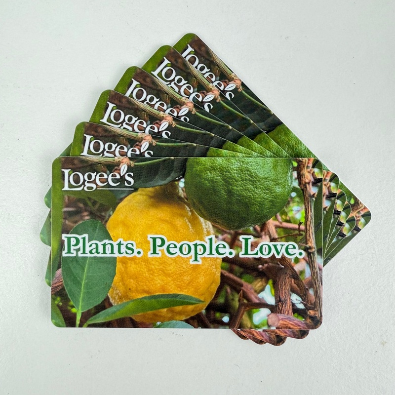 Gift Card|$25.00|$30.00|$50.00|$75.00|$100.00|$150.00|$175.00|$200.00|$250.00|$500.00