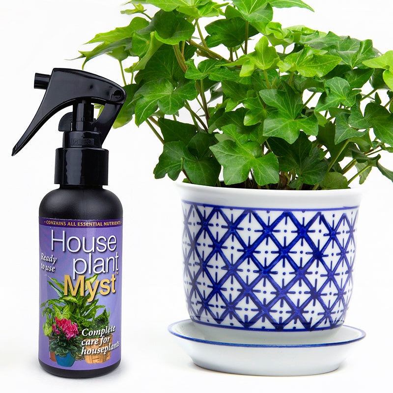 Houseplant Myst (100 ml bottle)