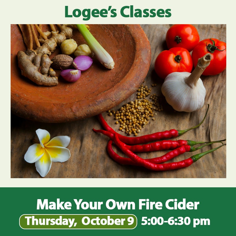 Make Your Own Fire Cider – 10/9/25