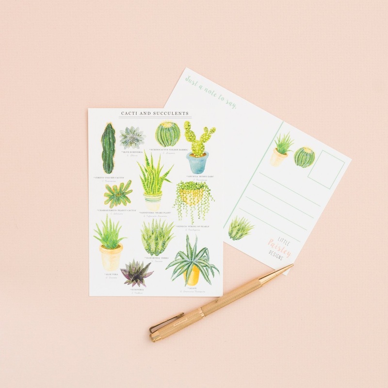 Cacti & Succulent Postcard