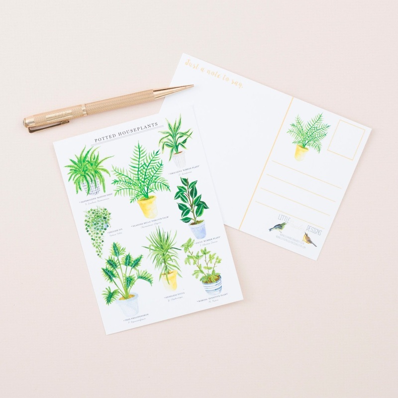 Potted Houseplant Postcard
