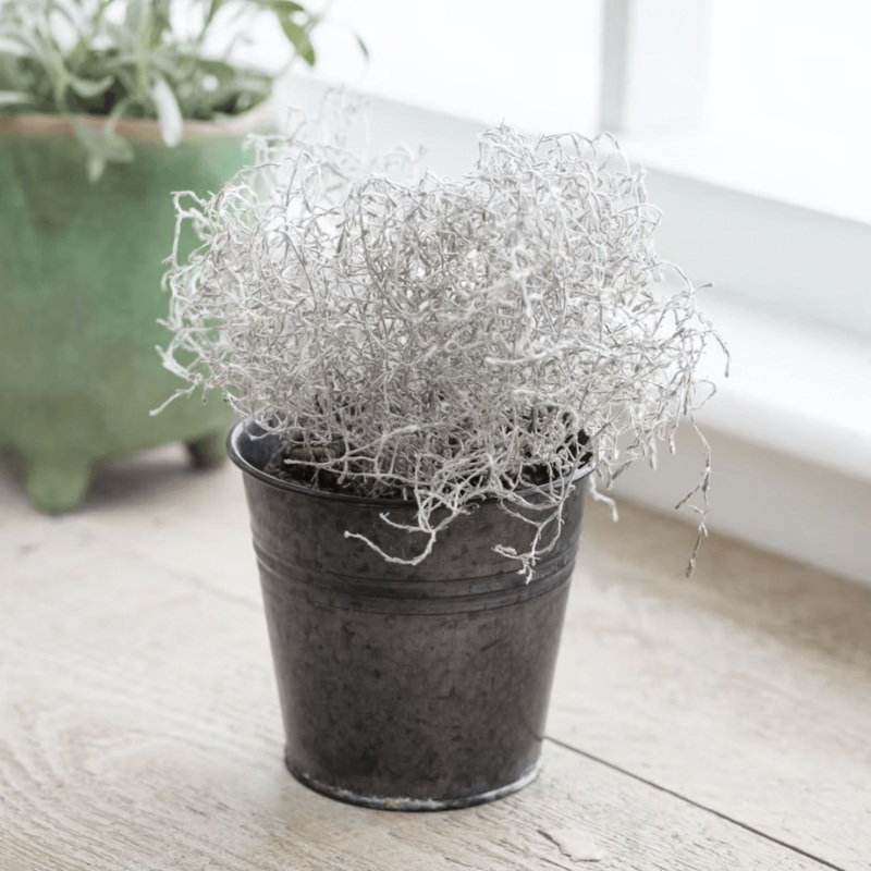 Winson Plant Pot|10cm|15cm|20cm|Black