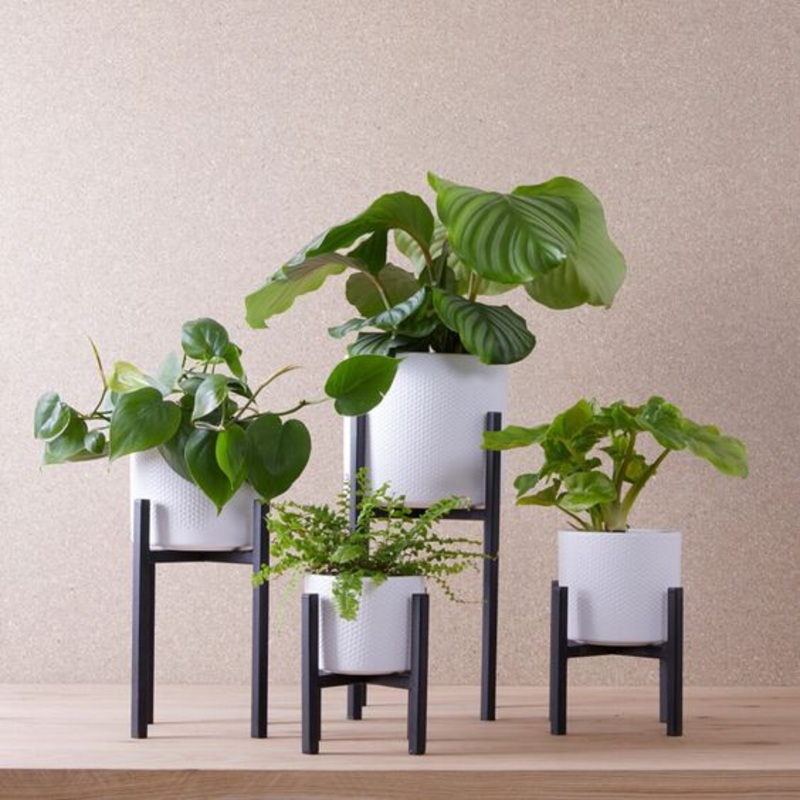 Black Metal Plant Stand|13cm|16cm|20cm|24cm|Black