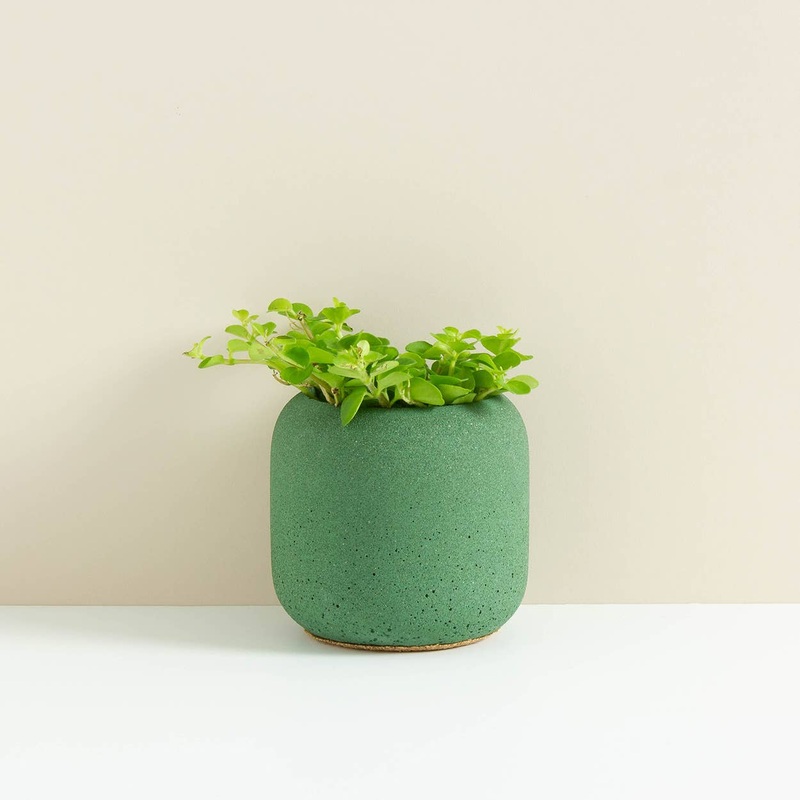 Bottle Green Willow Small Planter
