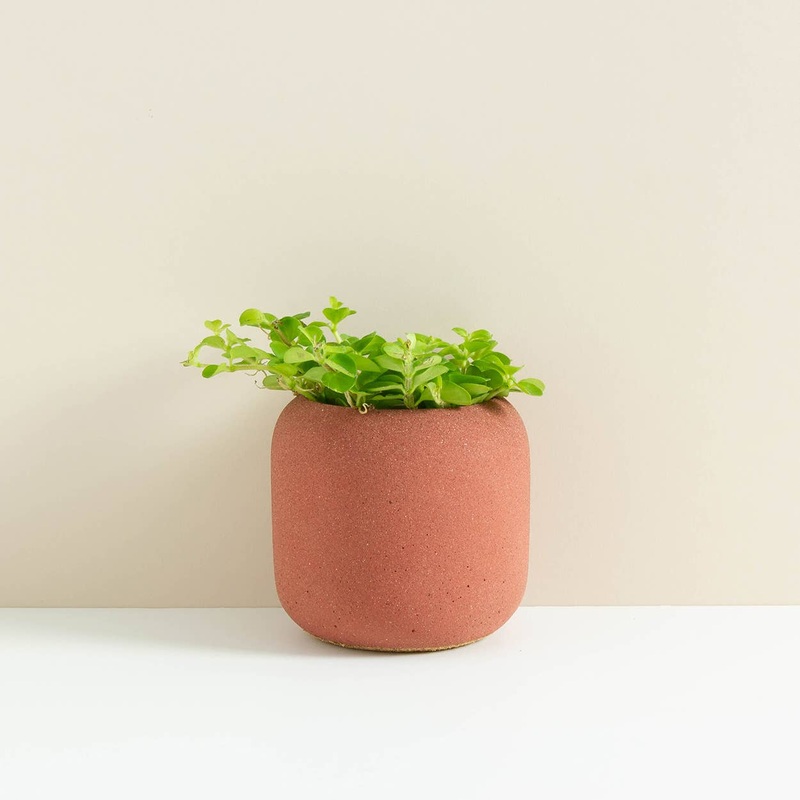 Brick Red Willow Small Planter