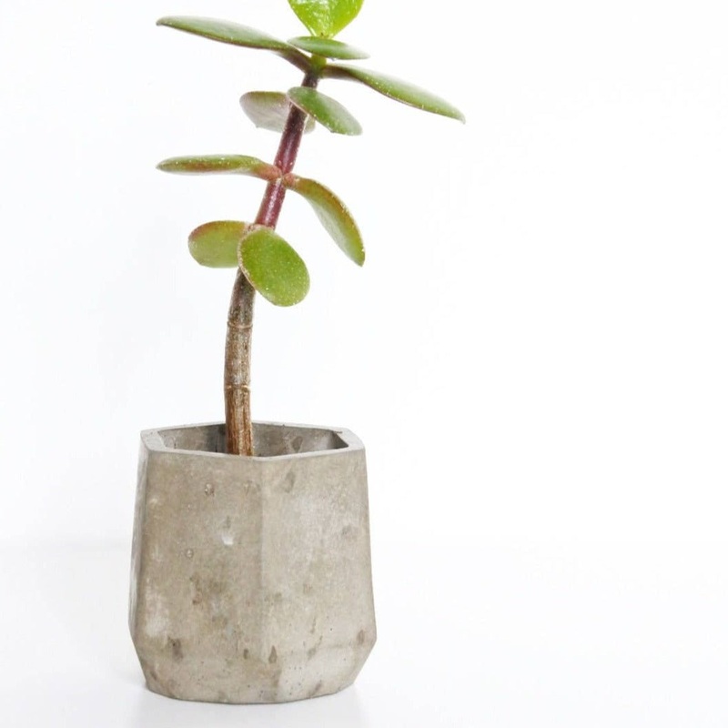 Grey Concrete Mini Hexagonal Vessel