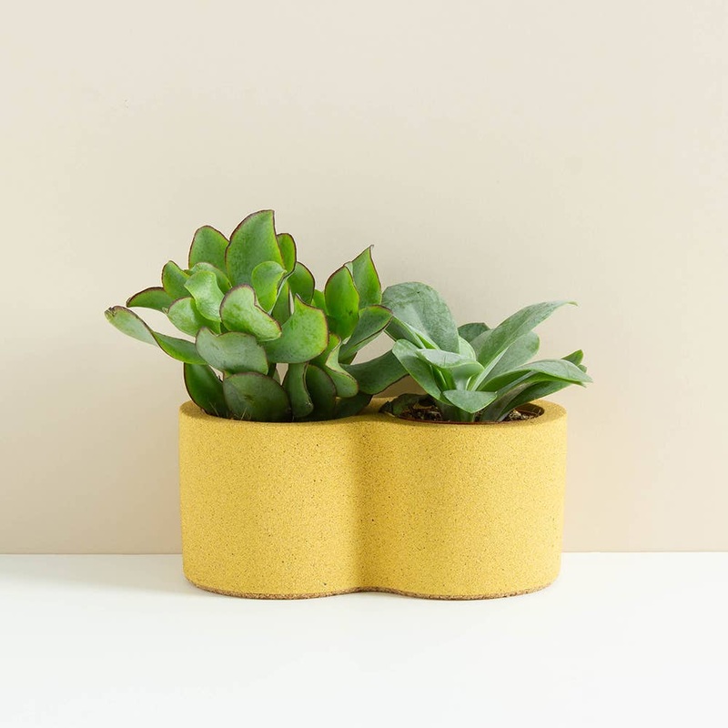 Harvest Yellow Rowan Double Planter