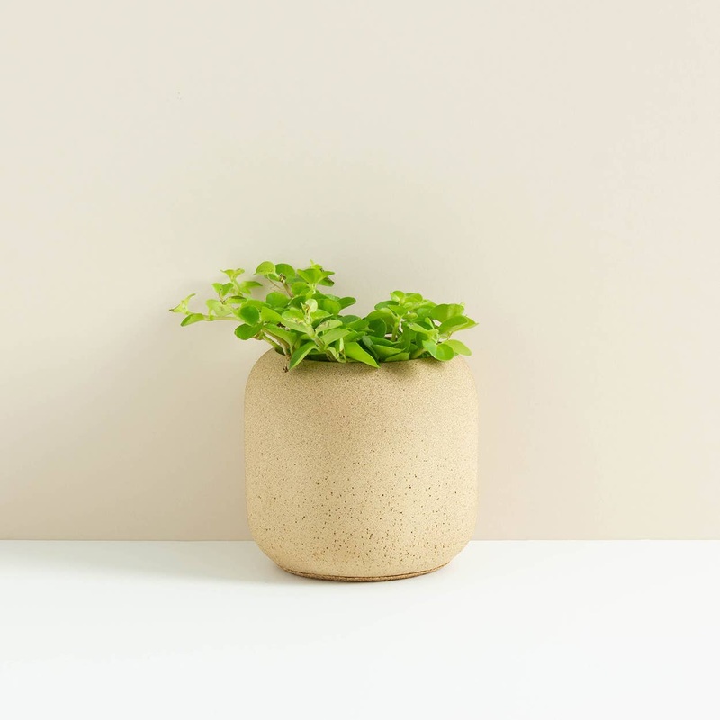 Natural Sand Willow Small Planter