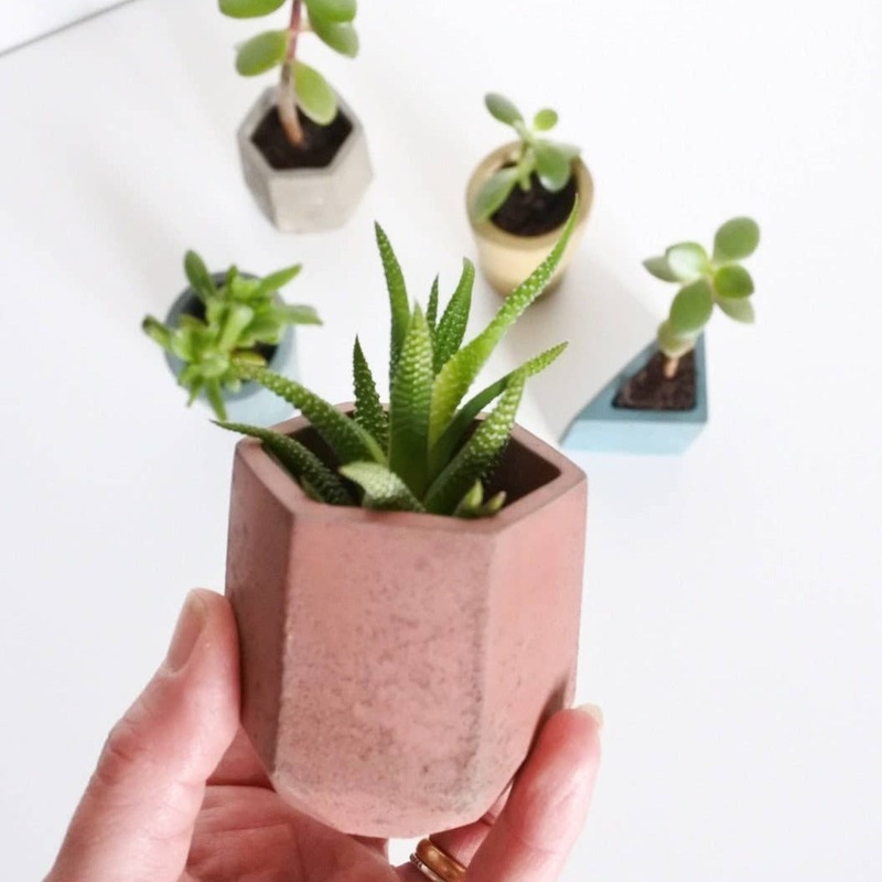 Pink Concrete Mini Hexagonal Vessel – Ex-display