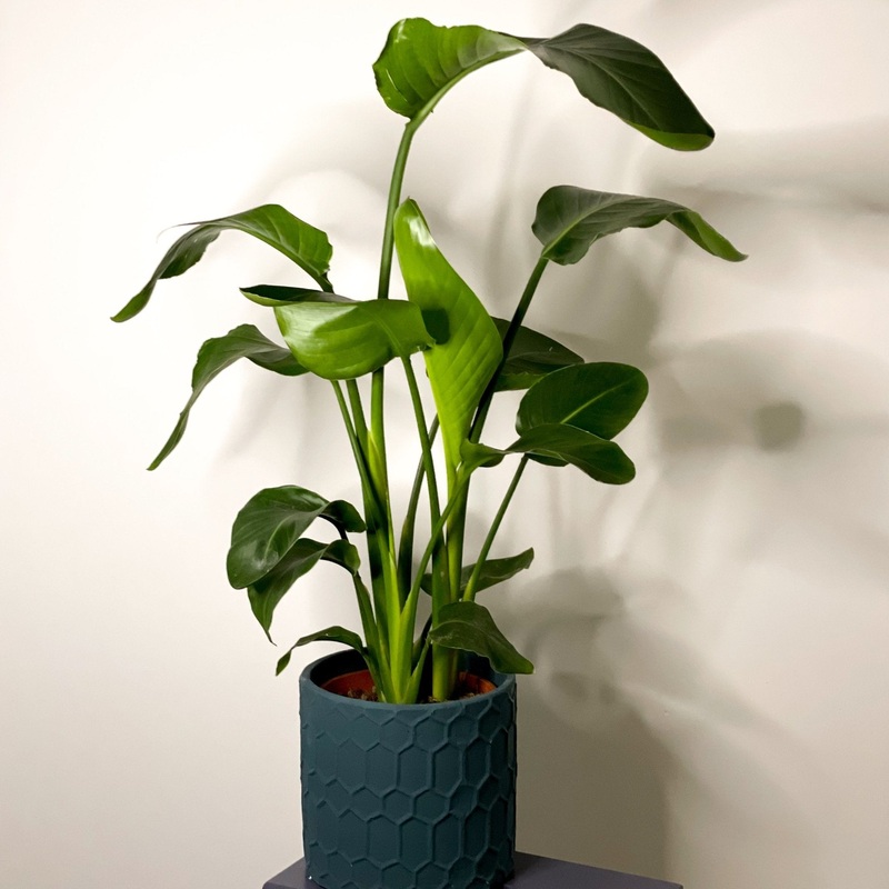 Teal Geometric Cement Planter|22cm|Blue