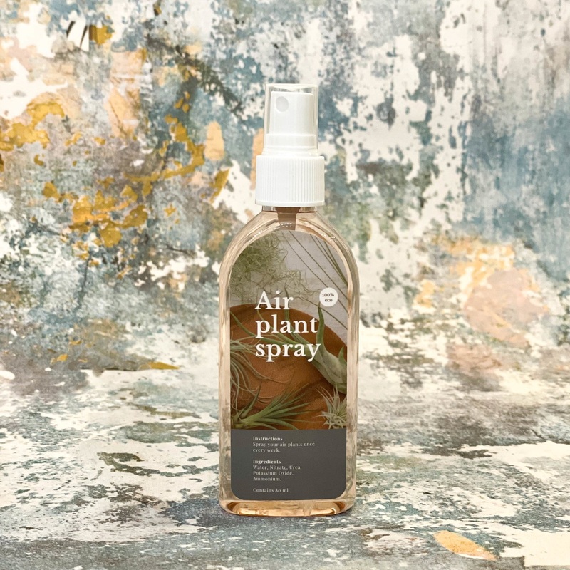Air Plant / Tillandsia Spray