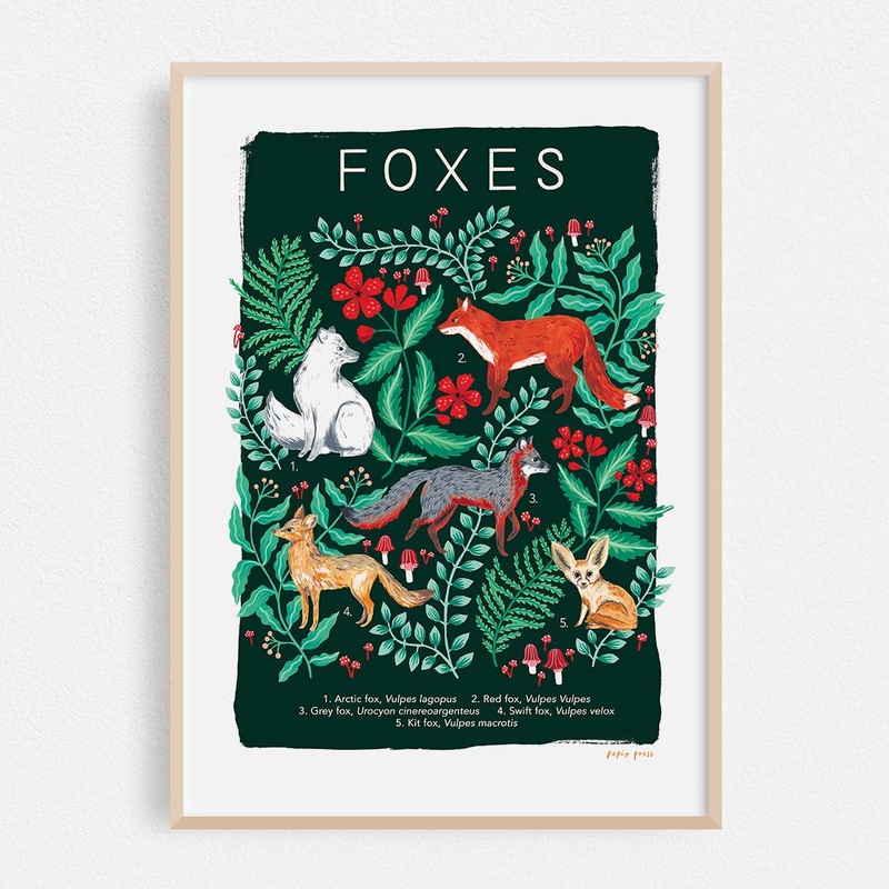 Fox Natural History Print|A4
